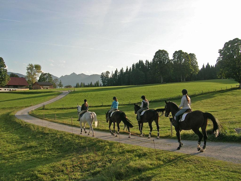 Appartements Laerchmoos Ramsau am Dachstein Kültér fotó