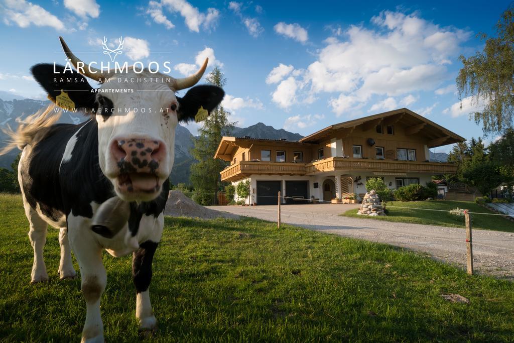 Appartements Laerchmoos Ramsau am Dachstein Kültér fotó